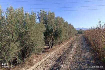 Rural/Agricultural land for sale in Hijar, Gabias (Las), Granada. 